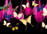 pink fuchsia and butterfly design for interiors(prints)