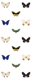 handdrawn butterfly wallpaper (digital print)