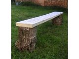 Fossile bench - raw wood, concrete
