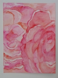Pink Roses, Watercolour