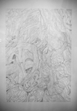 Flesh Drawing 20. Ink on Paper. 84cm x 60cm