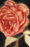 oil on canvas 3"x4" Rose