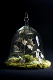 Insect Bell Jar