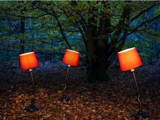 Crooked Lamps (in woods)